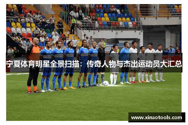 宁夏体育明星全景扫描：传奇人物与杰出运动员大汇总