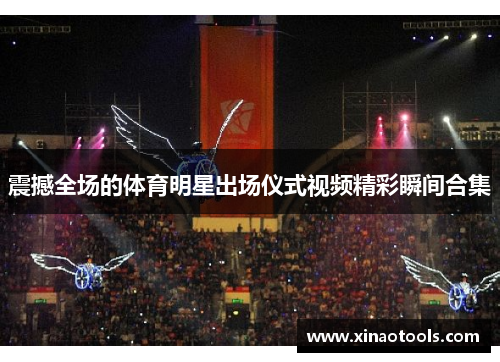 震撼全场的体育明星出场仪式视频精彩瞬间合集